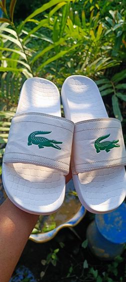 รองเท้าแตะ LACOSTE มี 3 คู่ รูปที่ 8