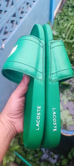 รองเท้าแตะ LACOSTE มี 3 คู่ รูปที่ 5