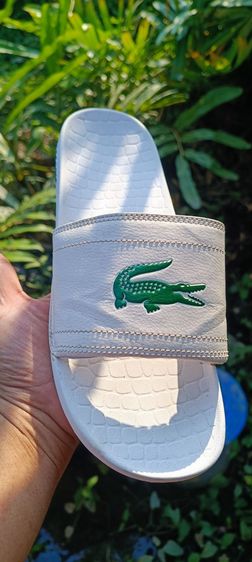 รองเท้าแตะ LACOSTE มี 3 คู่ รูปที่ 10