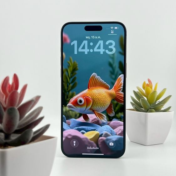 ✨iPhone 15 Pro Max 256 GB 🎉 รหัสสินค้า PH234 🎉