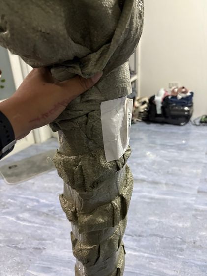 ขากล้องเซอร์เวย์ รูปที่ 5