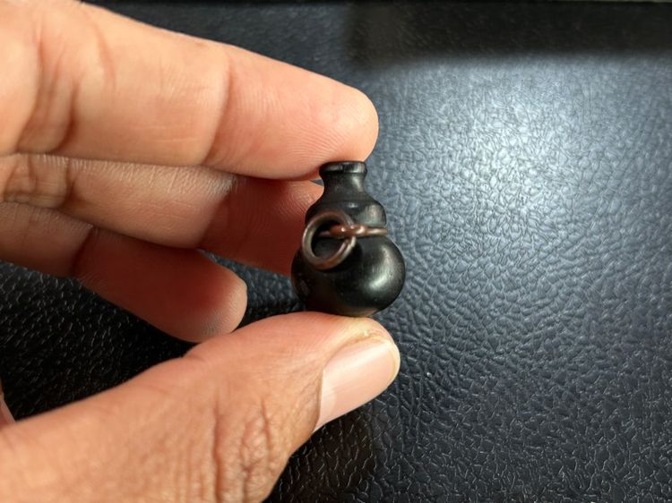 น้ำเต้าไม้ รูปที่ 16