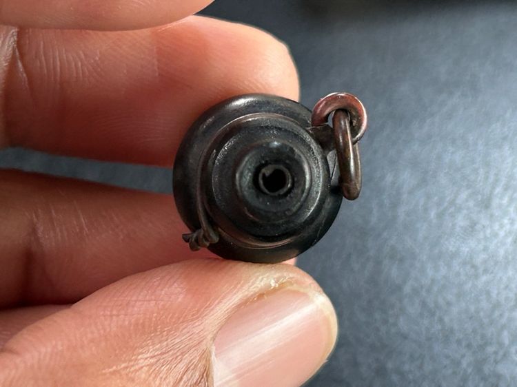 น้ำเต้าไม้ รูปที่ 11