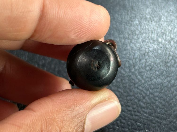 น้ำเต้าไม้ รูปที่ 3