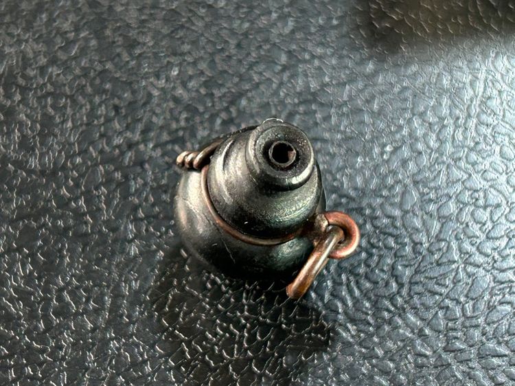 น้ำเต้าไม้ รูปที่ 13