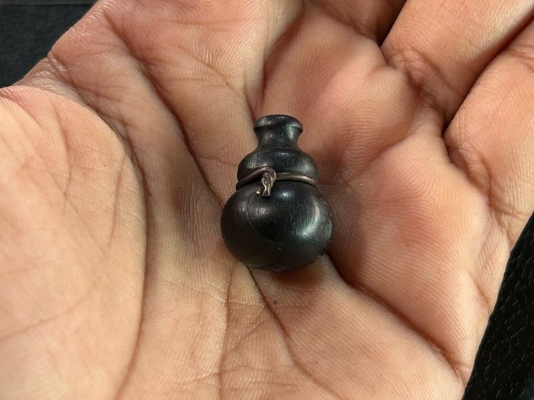 น้ำเต้าไม้ รูปที่ 15