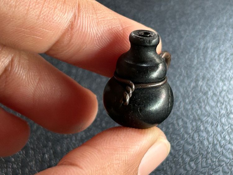 น้ำเต้าไม้ รูปที่ 10