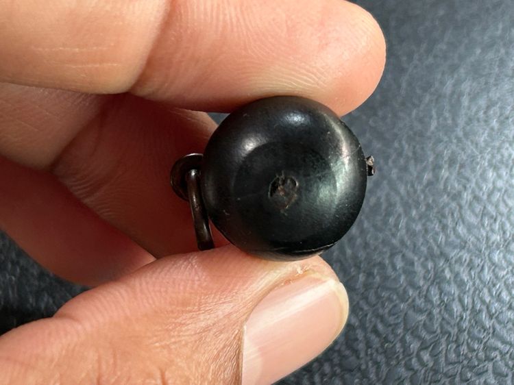 น้ำเต้าไม้ รูปที่ 12