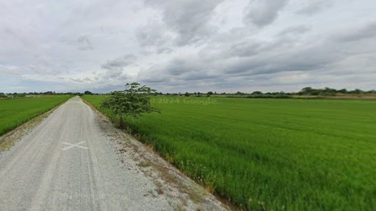 ขายที่ดิน 3 แปลงด่วน ในบริเวณเดียวกัน หลังเอแบค (บางพลี) ต่ำกว่าราคาราชการ