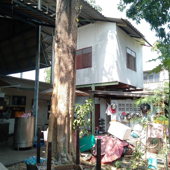 ขายที่ดิน พร้อมสำนักงาน บ้านพัก โรงงาน รูปที่ 2