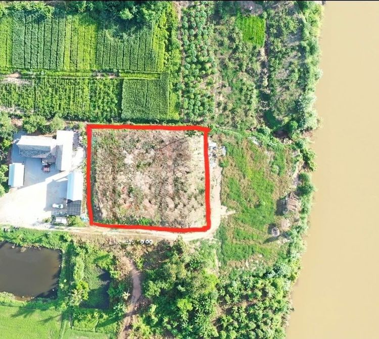 ขายที่ดินติดริมโขง จ.เลย 1ไร่ไงาน 2.3 ลบ รูปที่ 2