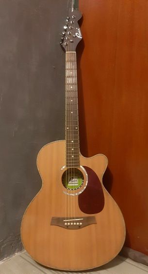 กีต้าร์โปร่งไฟฟ้า รูปที่ 2