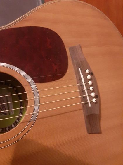 กีต้าร์โปร่งไฟฟ้า รูปที่ 3