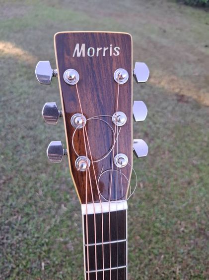 กีตาร์โปร่งวินเทจ สวยมาก Morris W30 made in Japan รูปที่ 4