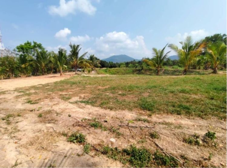 ไม่ใช่ ที่ดินระยอง สวย ตะพง ถมแล้ว รูปที่ 2