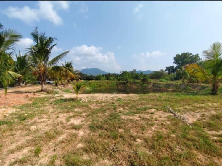 ไม่ใช่ ที่ดินระยอง สวย ตะพง ถมแล้ว รูปที่ 4