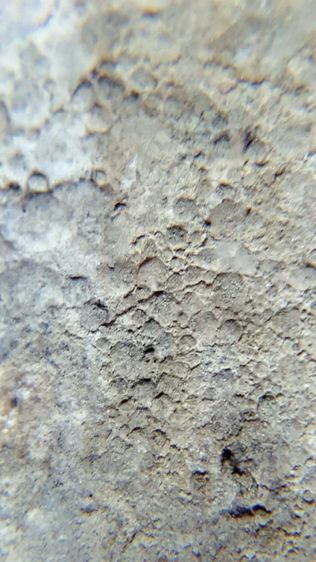 พระสมเด็จบางขุนพรหม พิมพ์ฐานแซม กรุใหม่ เนื้อขาวนวน พร้อมเลี่ยมเก่า รูปที่ 5