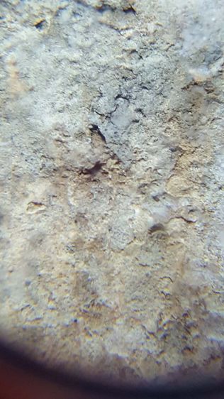 พระสมเด็จบางขุนพรหม พิมพ์ฐานแซม กรุใหม่ เนื้อขาวนวน พร้อมเลี่ยมเก่า รูปที่ 6