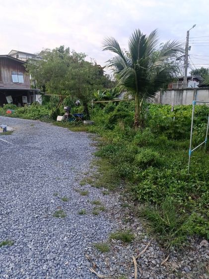 ขายที่ดินด่วน รูปที่ 2