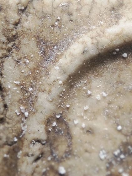 พระสมเด็จครับเดิมหิ้งเลย รูปที่ 5