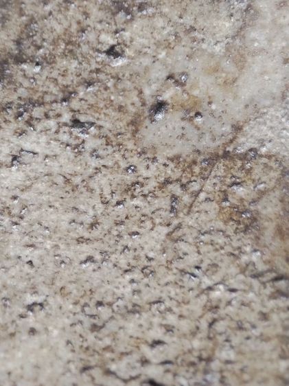 พระสมเด็จครับเดิมหิ้งเลย รูปที่ 14