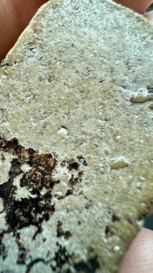 พระสมเด็จวัดระฆัง เก่าๆ  รูปที่ 13