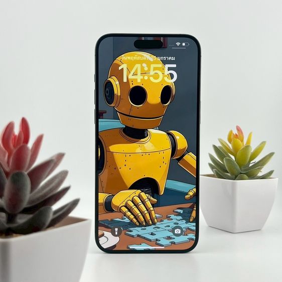 iPhone 15 Pro Max 256 GB 🎉 รหัสสินค้า PE111