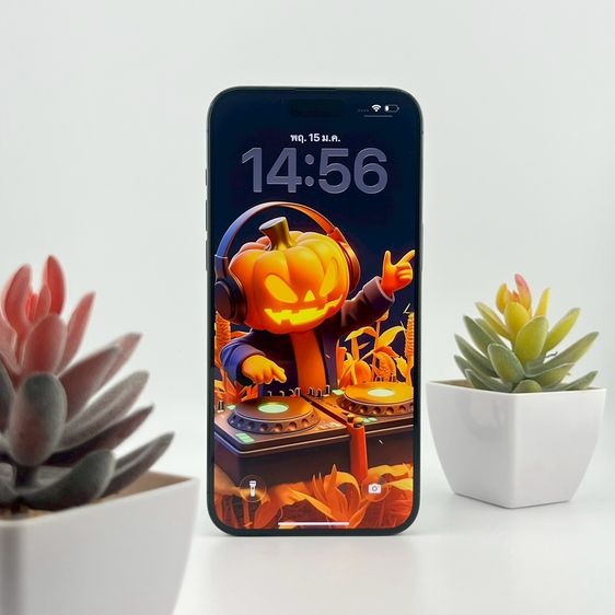 iPhone 15 Pro Max 256 GB 🎉 รหัสสินค้า PE112