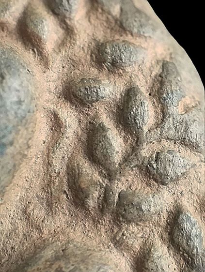 พระเปิม ลำพูน. รูปที่ 12