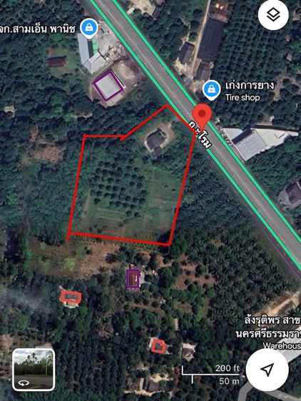 ขายที่ดินพร้อมสิ่งปลูกสร้าง 8 ไร่ ติดถนนใหญ่ อ.พรหมคีรี จ.นครศรีธรรมราช