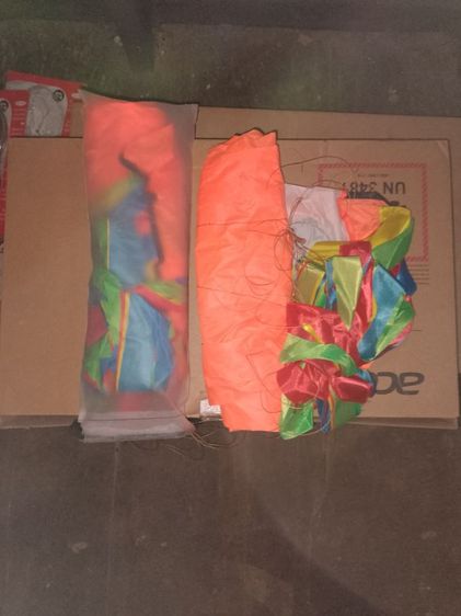 ว่าวปลาหมึก รูปที่ 2