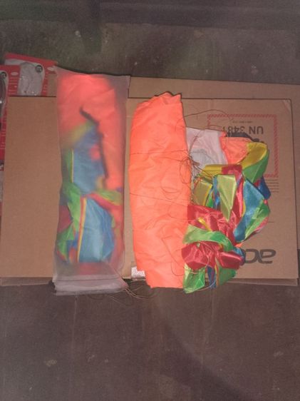 ว่าวปลาหมึก รูปที่ 3