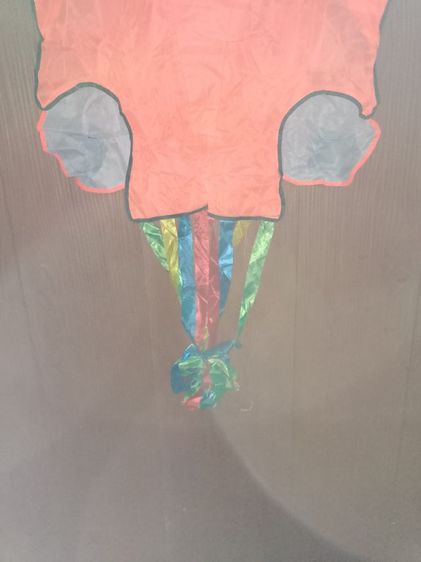 ว่าวปลาหมึก รูปที่ 4