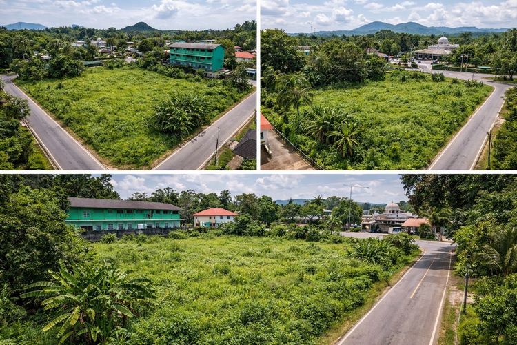 ที่ดินหน้า ม.ราชภัฏ นครศรีธรรมราช  ที่ดินเปล่า 4 ไร่เศษ  ไ เข้าออกได้ 2 ทาง รูปที่ 2