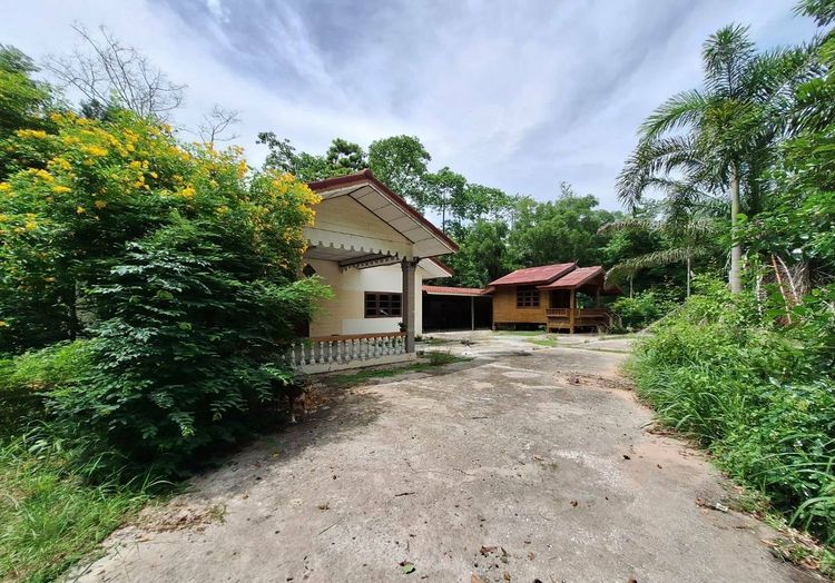 ขายที่ 10 ไร่ พร้อมบ้าน ใกล้ถนน 331 (1.8 กม.) หนองเหียง พนัสนิคม ชลบุรี