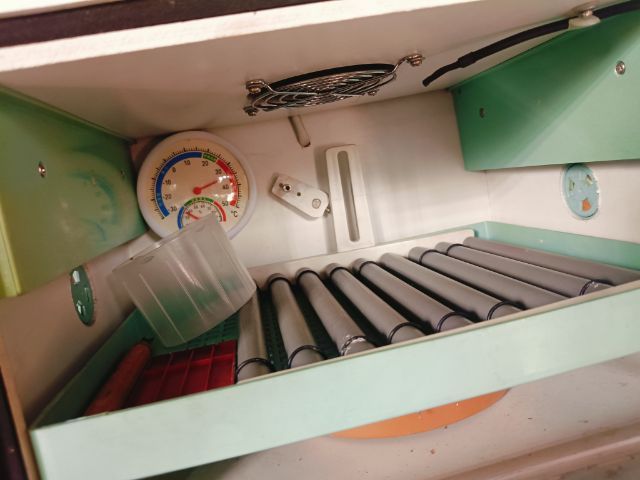 ตู้ฟักไข่ BLACK CHICK Siam Incubator Systems ตู้ฟักไข่ระบบไฟ ปรับอุณหภูมิได้ รูปที่ 3