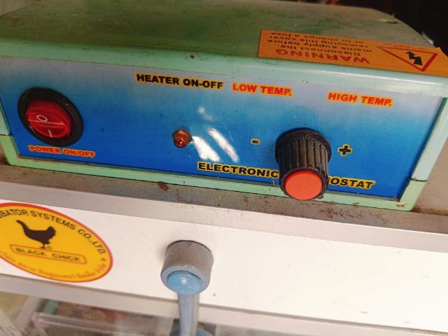 อื่นๆ ตู้ฟักไข่ BLACK CHICK Siam Incubator Systems ตู้ฟักไข่ระบบไฟ ปรับอุณหภูมิได้