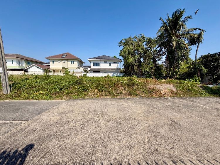 ขายที่ดินเปล่า ขนาด 105 ตรว. ซ.แก้วเงินทอง 40-1 ตลิ่งชัน เดินทางสะดวก ใกล้แหล่งชุมชน รูปที่ 4