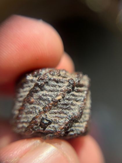 ตะกรุดพิสมรใบบานบังปืน (มีสินค้าหลายรายการกดเข้ามาดูในโปรไฟล์ได้เลยครับ) รูปที่ 3