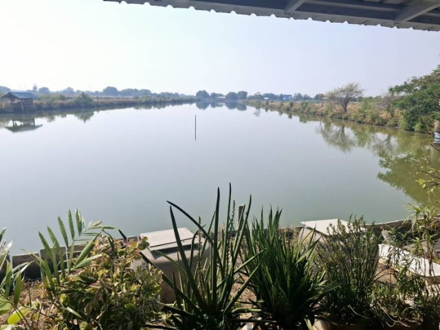 ใช่ ขายที่ดินมหาชัย รูปที่ 4