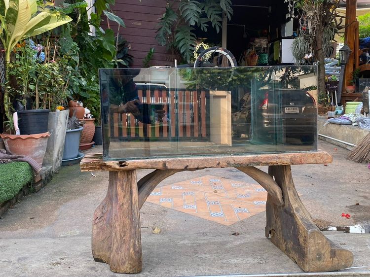 ตู้เลี้ยง รูปที่ 2