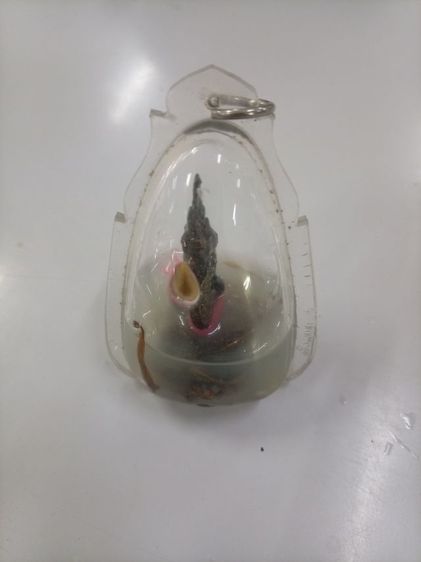 พ่อปู่พญานาค