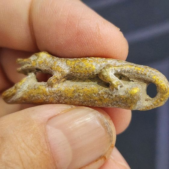 จรเข้ขี่ปลัดขิกเนื้อชินทอง กรุลําพูน ส่งฟรีทั่วไทย รูปที่ 7