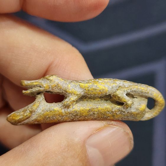 จรเข้ขี่ปลัดขิกเนื้อชินทอง กรุลําพูน ส่งฟรีทั่วไทย