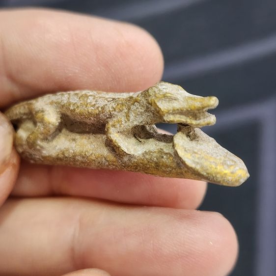 จรเข้ขี่ปลัดขิกเนื้อชินทอง กรุลําพูน ส่งฟรีทั่วไทย รูปที่ 8