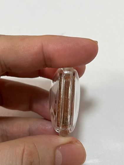 หลวงพ่อปานขี่เม่น รูปที่ 4