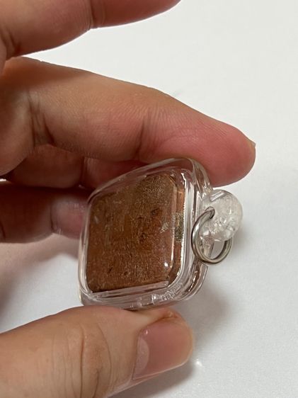 หลวงพ่อปานขี่เม่น รูปที่ 6