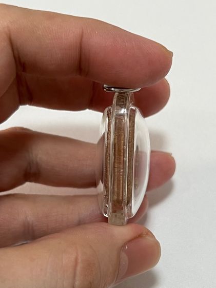 หลวงพ่อปานขี่เม่น รูปที่ 5