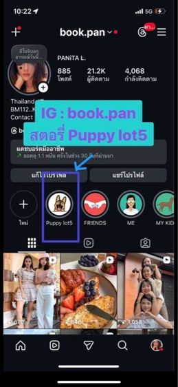 ลูกสุนัขเยอรมันเชพเพิร์ด (อัลเซเชี่ยน สุนัขตำรวจ) ว่าง ตัวเมีย 1 ตัวสุดท้าย รูปที่ 6