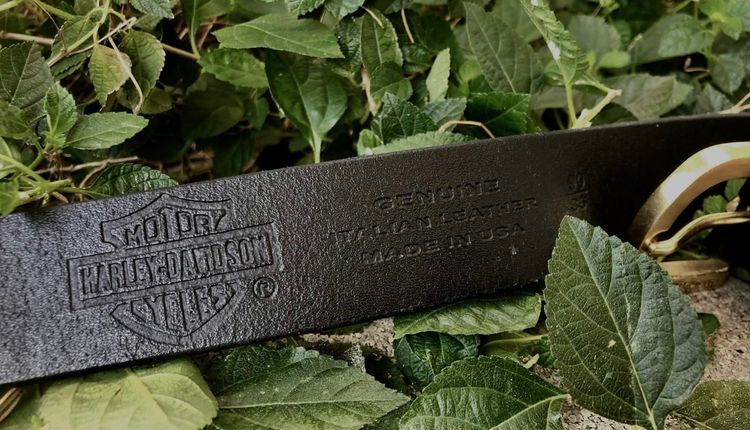 เข็มขัดHarley-Davidson® รูปที่ 3